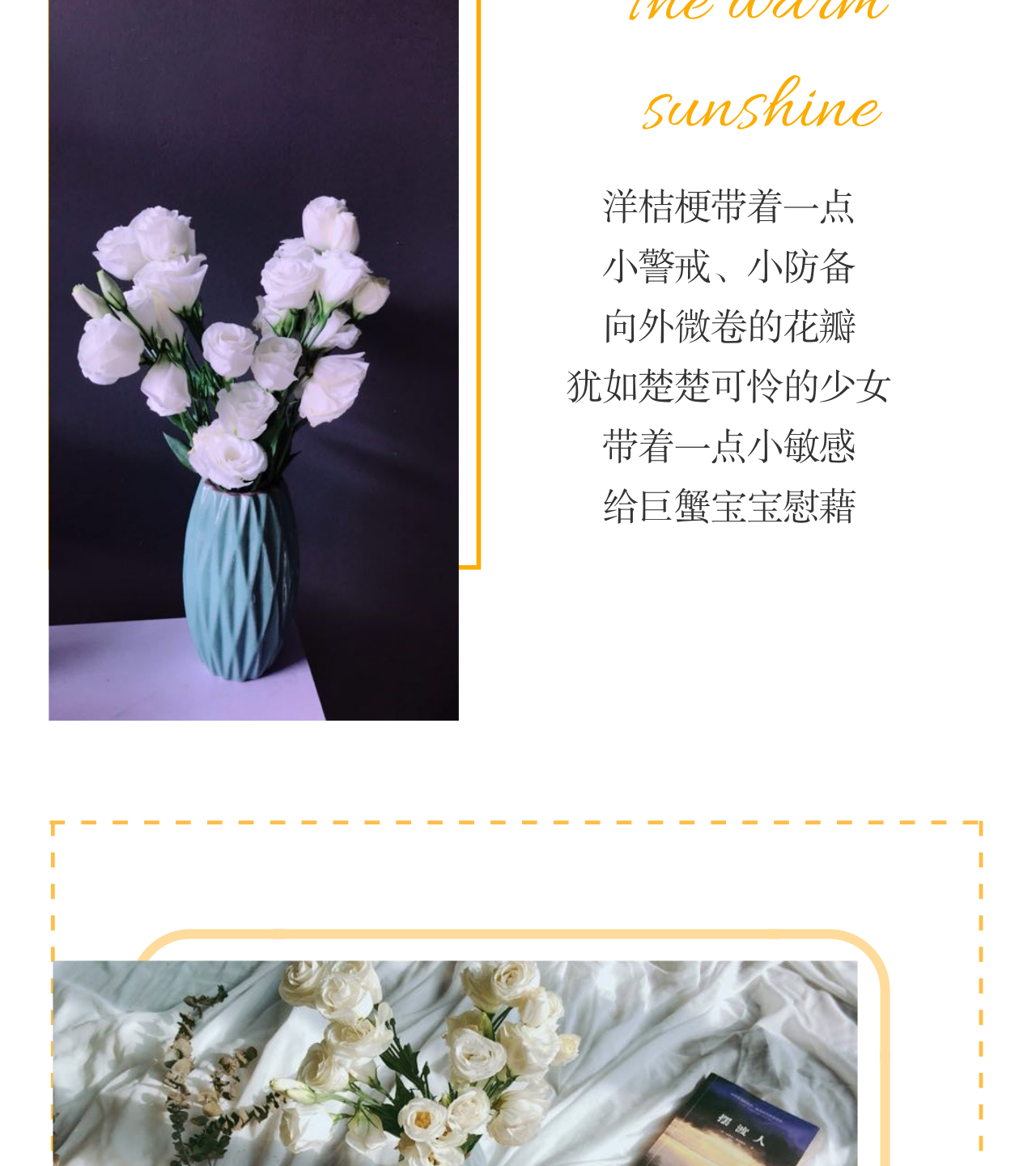 洋桔梗_03.jpg